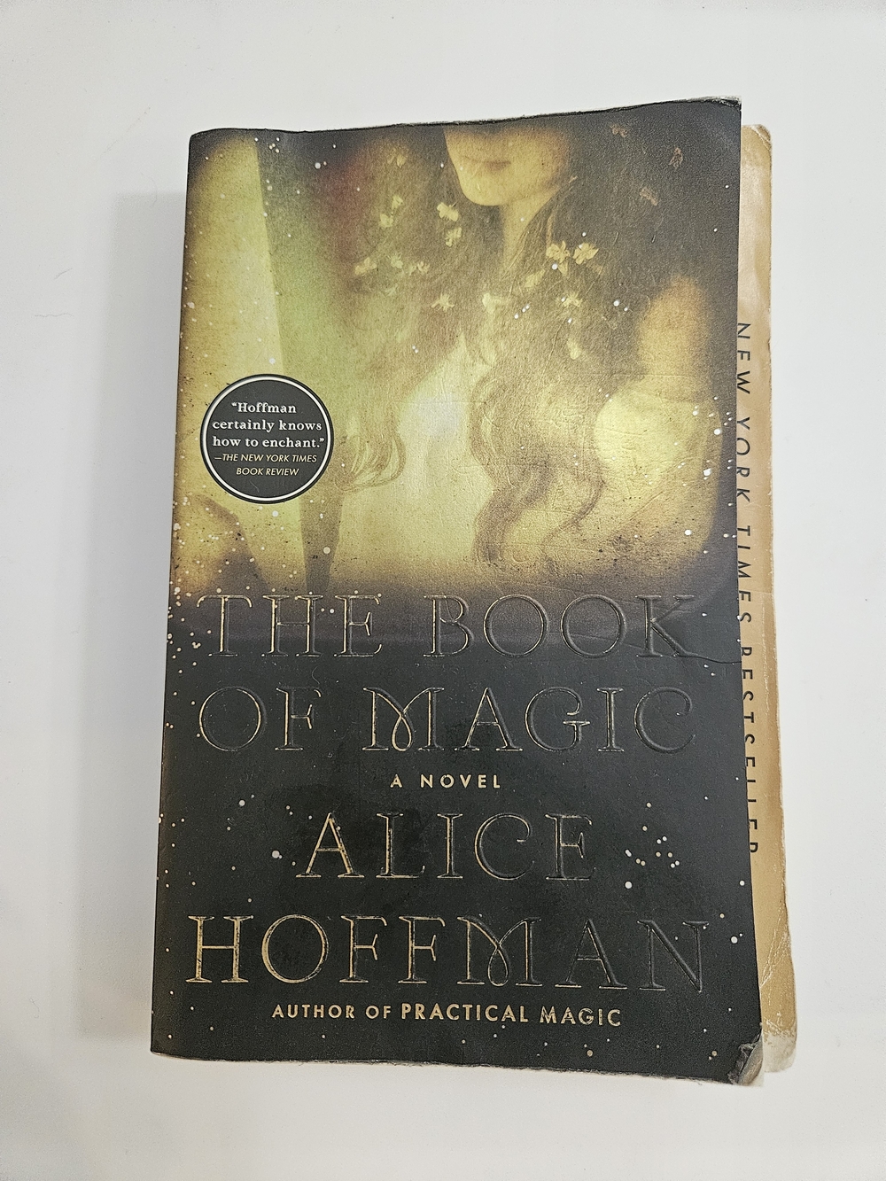The Book of Magic by Alice Hoffman Paperback Practical Magic Series